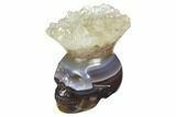Polished Agate Skull with Quartz Crown #149534-1